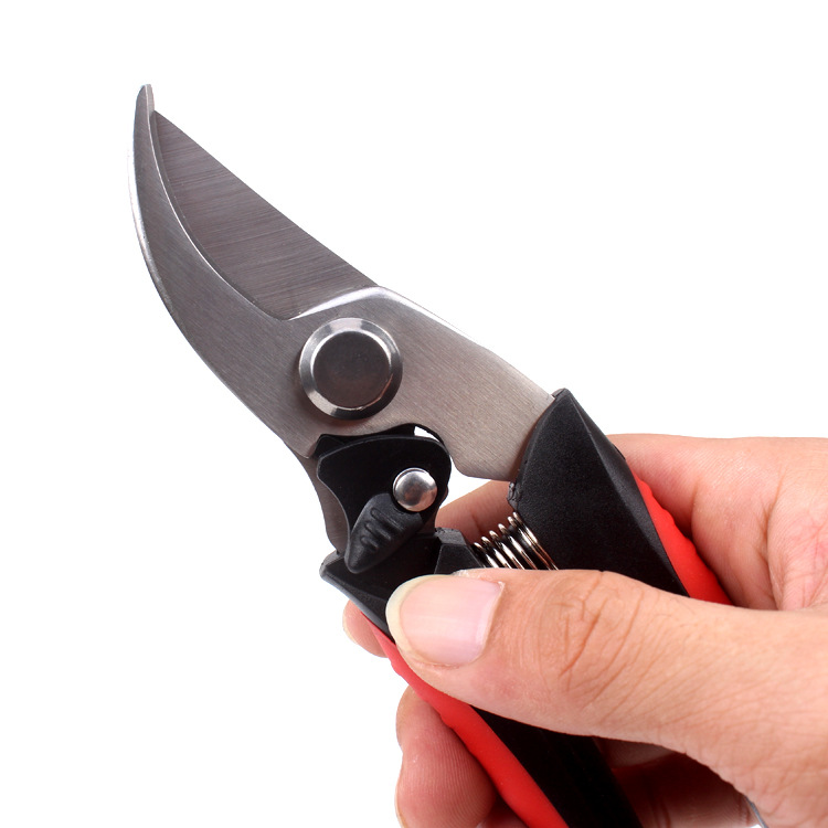 Kéo cắt tỉa lá, cây cảnh