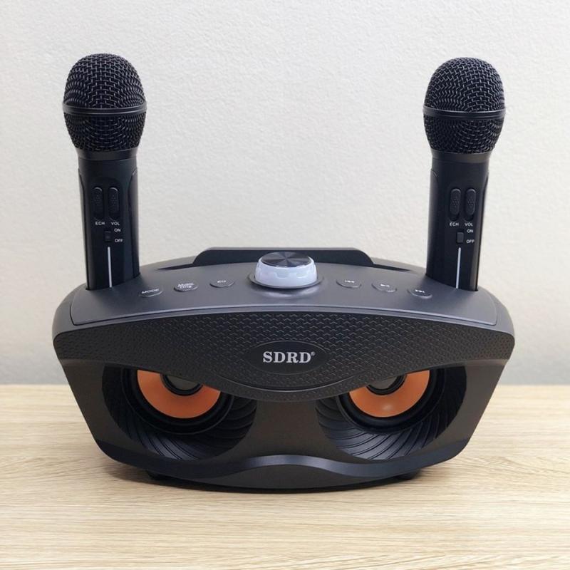 LOA KARAOKE SDRD SD-306 KÈM MIC