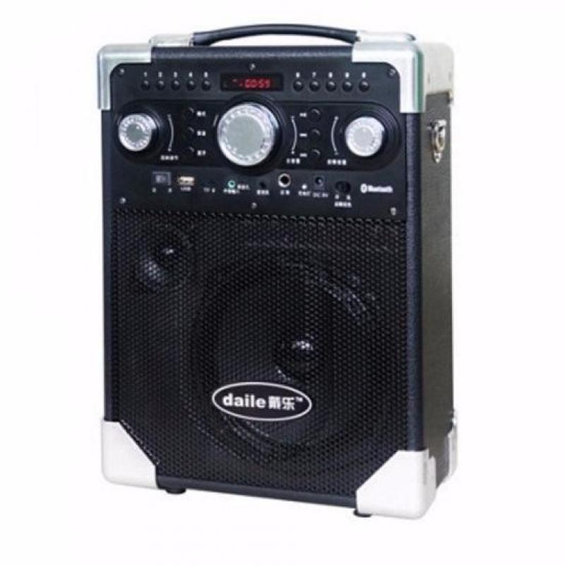Loa karaoke Daile S8