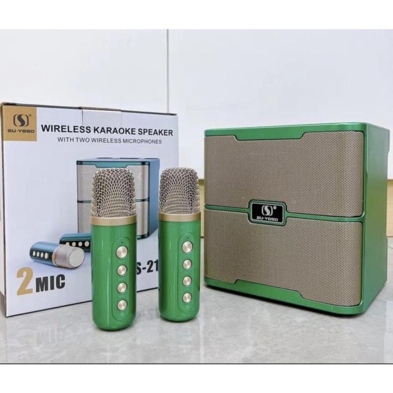 Loa karaoke mini YS-213 kèm 2 micro