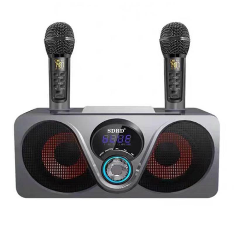 Loa karaoke mini SD-312