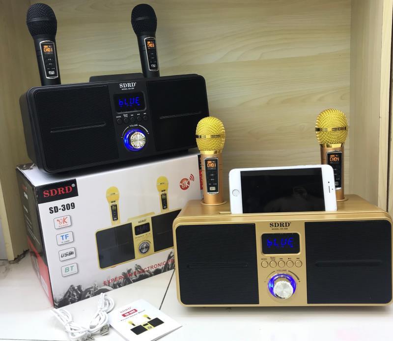 Loa karaoke SD-309 đẳng cấp cho gia chủ
