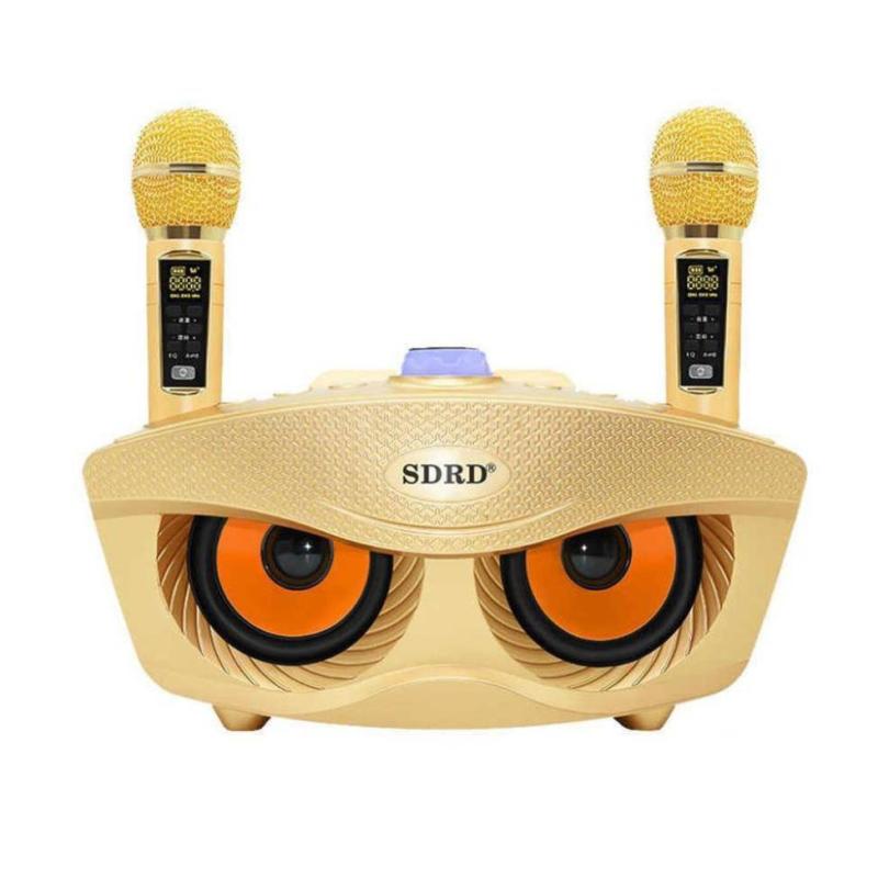 Loa karaoke SD 306 Plus