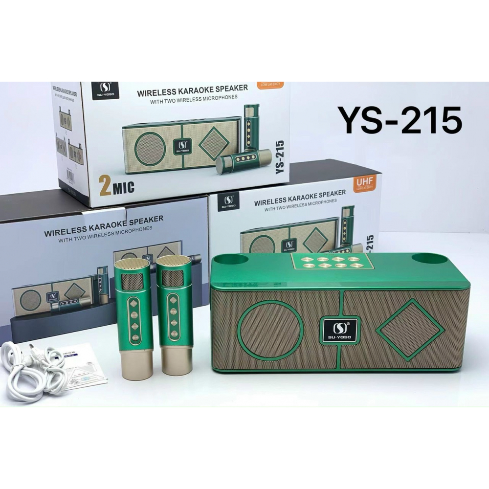 Loa karaoke mini YS-215 kèm 2 micro không dây