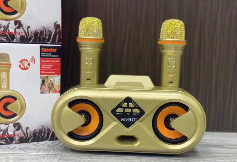Loa karaoke mini SD-303 kèm 2 micro không dây