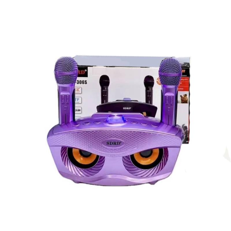 Loa karaoke SD-306S kèm 2 micro không dây