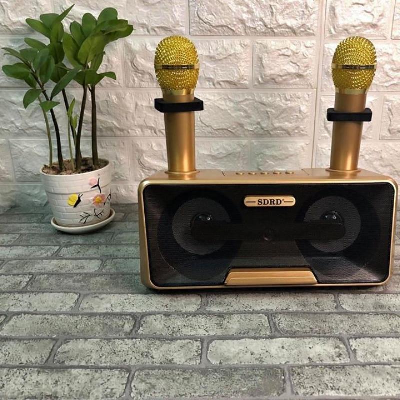 Loa karaoke bluetooth SD-301