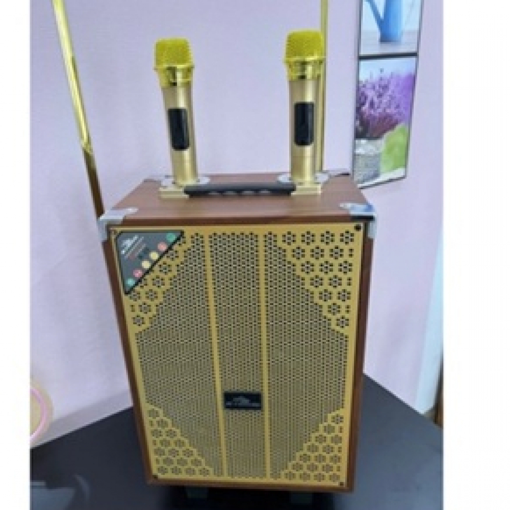 Loa karaoke Kiomic K33