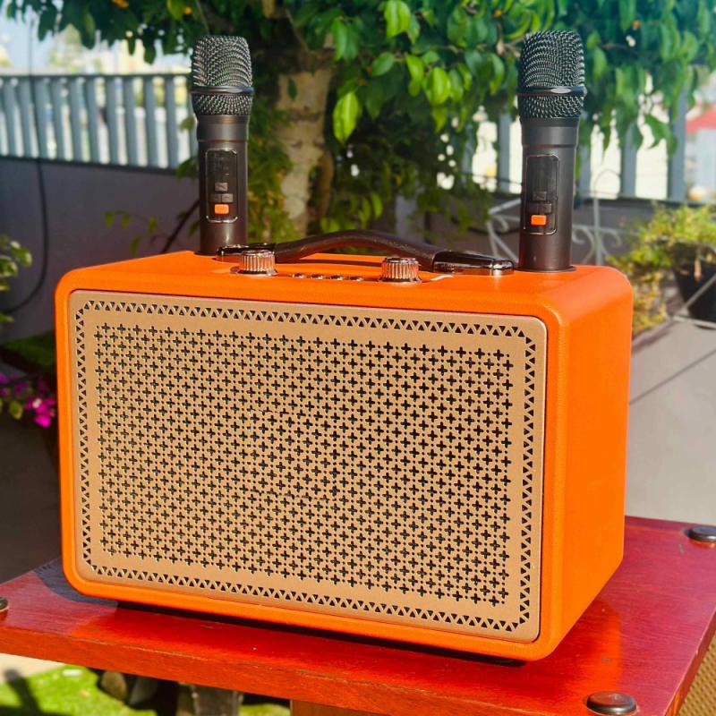 Loa karaoke TW338 kèm 2 micro không dây âm thanh trầm ấm