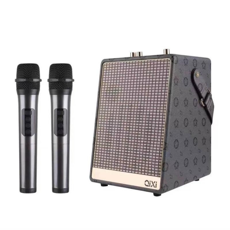 Loa karaoke Qixi SK-2050