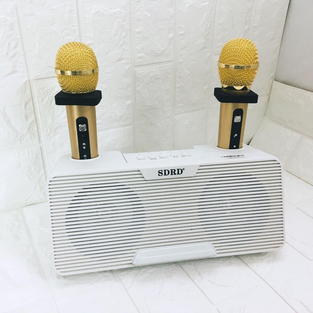 Loa karaoke mini SD 302